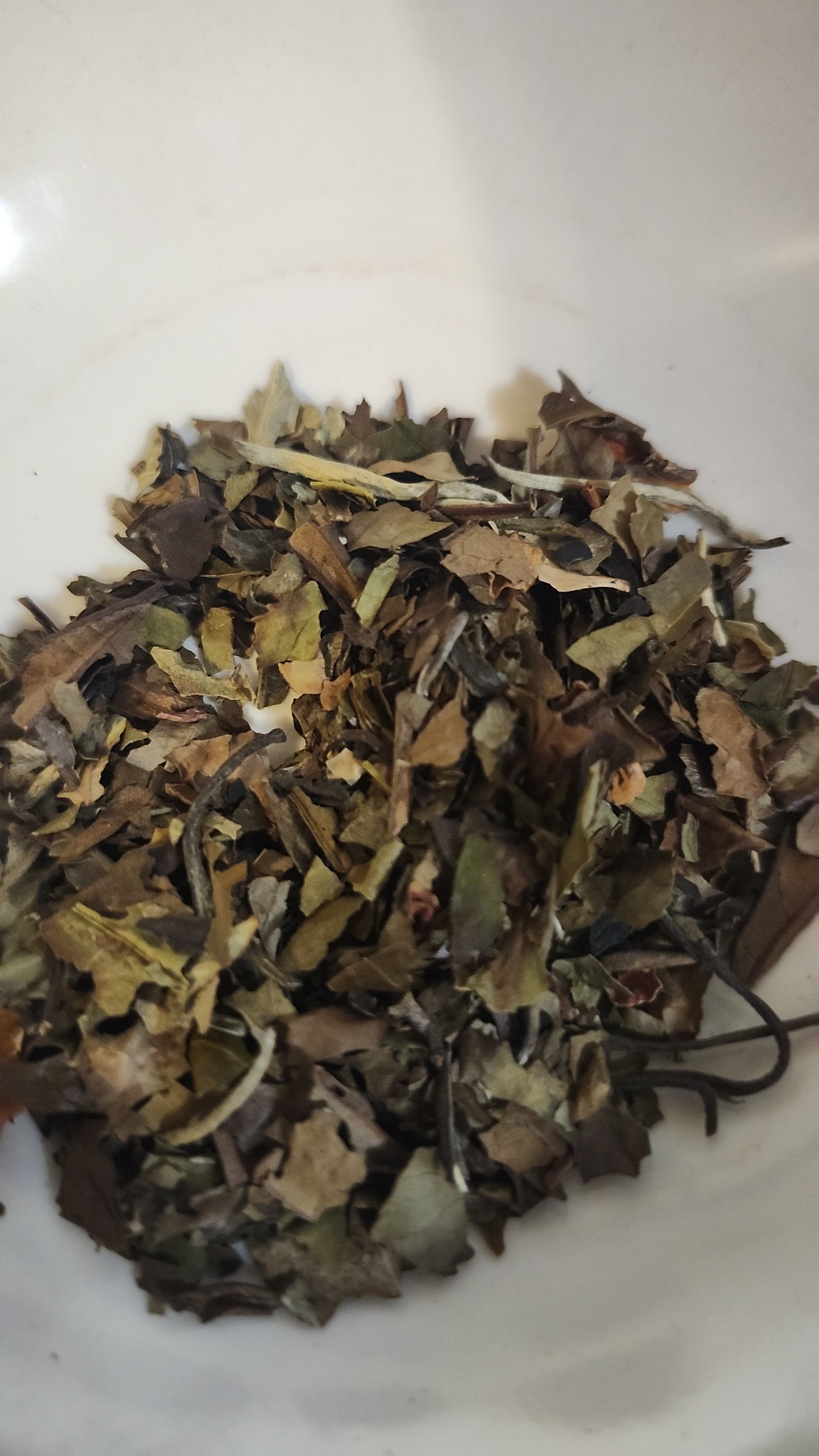 Bahama Breeze Loose Leaf Tea