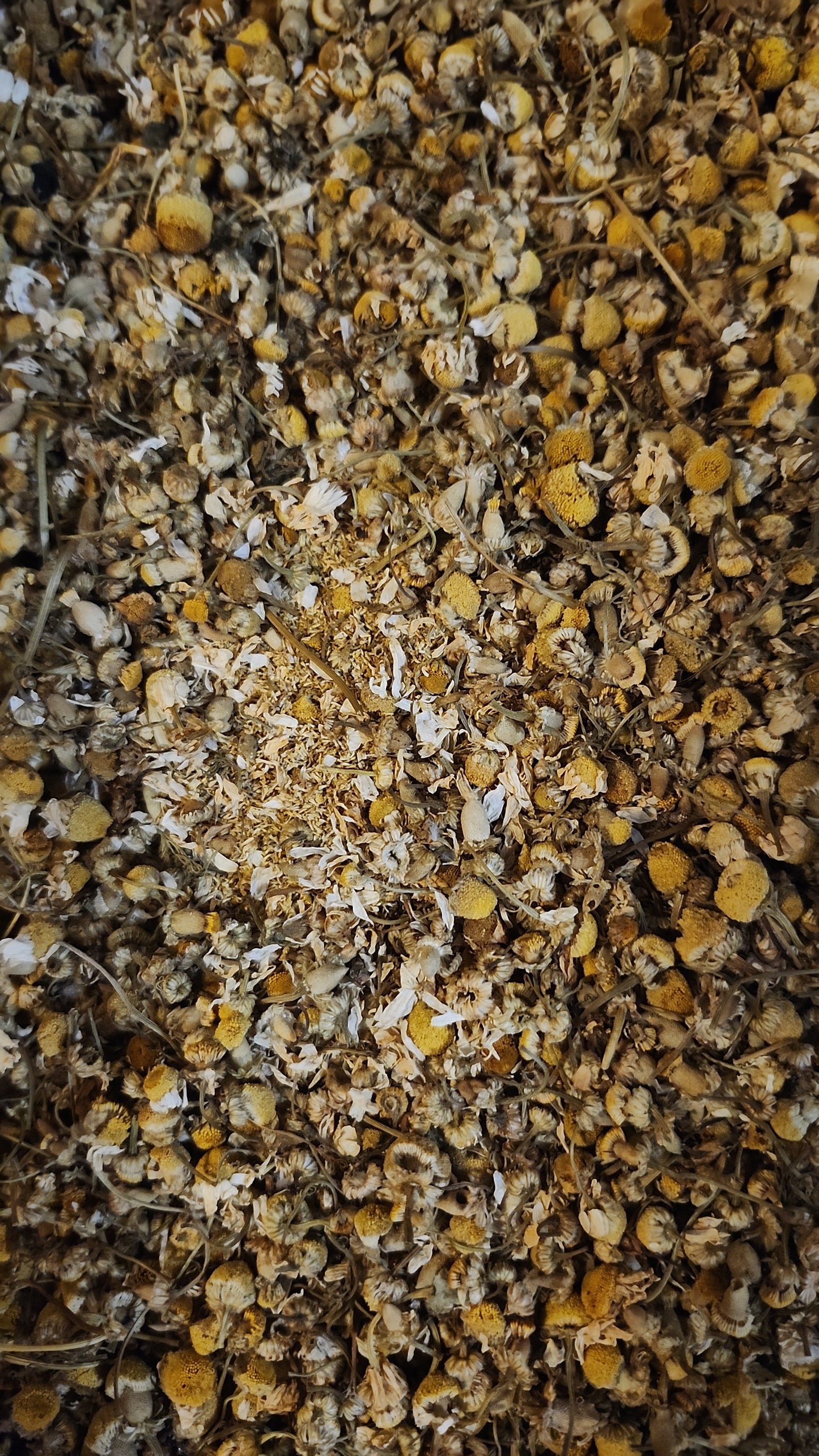 Chamomile Loose Leaf Tea