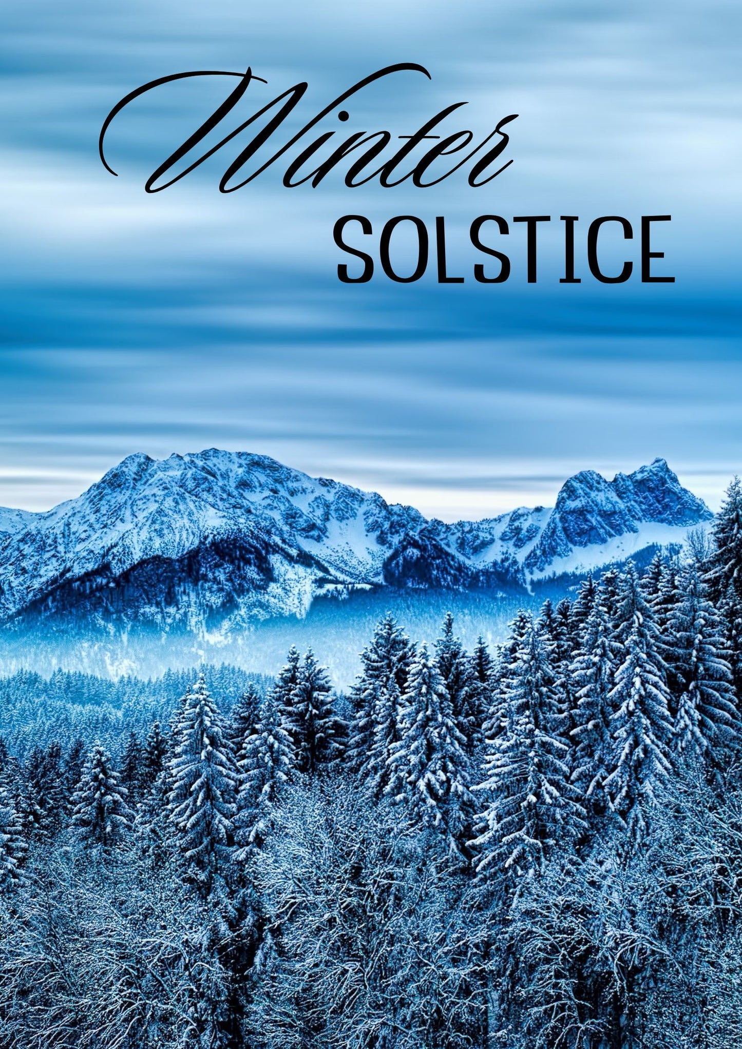 Winter Solstice Loose Leaf Tea