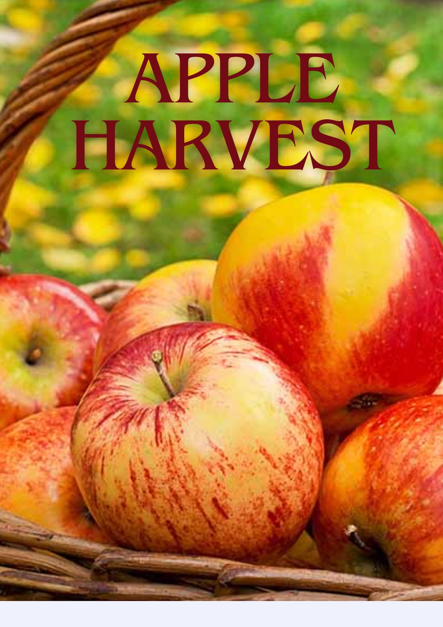 Apple Harvest Loose Leaf Tea