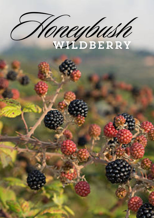 Honeybush Wildberry Loose Leaf Tea