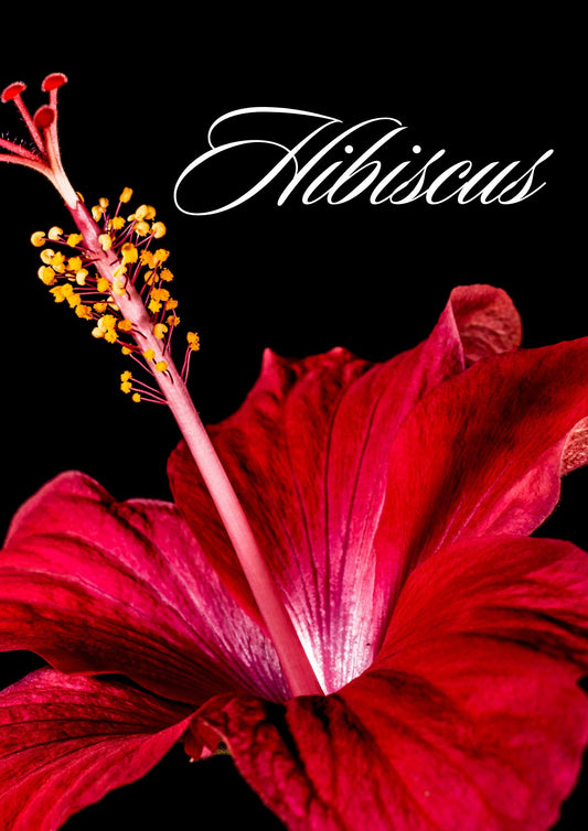 Hibiscus Loose Leaf Tea