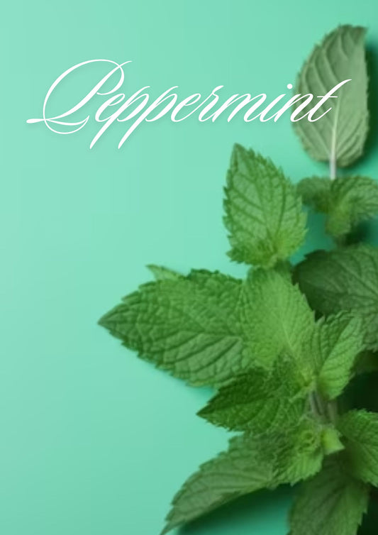 Peppermint Loose Leaf Tea