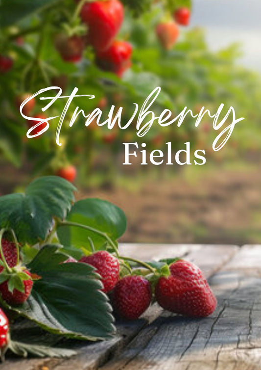 Strawberry Fields Loose Leaf Tea